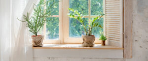 csm_shutterstock_1101121679_d2fe09fed2