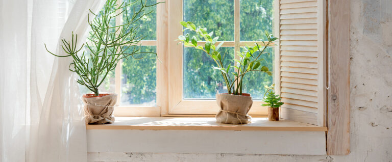 csm_shutterstock_1101121679_d2fe09fed2